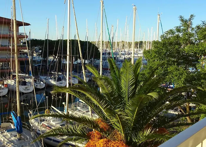 Vue Sur Port Avec Parking Et Animaux Admis - Fr-1-833-6 Appartamento